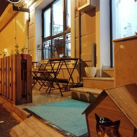 Genius Hotel 3*