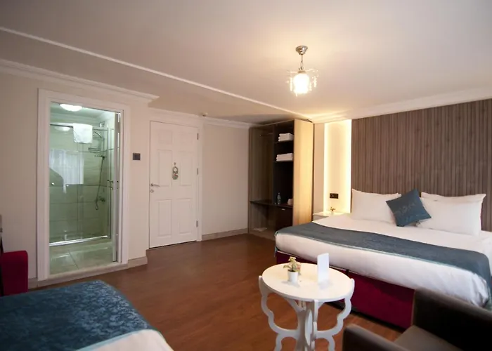 Genius Отель Стамбул